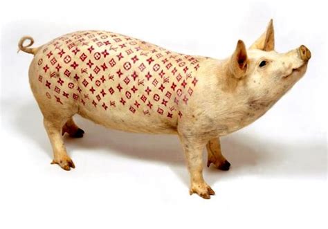 cochon tatoué louis vuitton|Wim Delvoye .